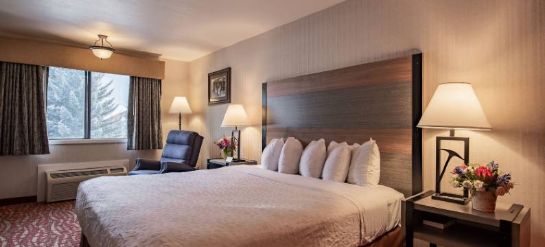 49年代套房旅馆(49'er Inn & Suites)图片