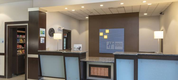 智选假日套房酒店新费城(Holiday Inn Express & Suites New Philadelphia)图片