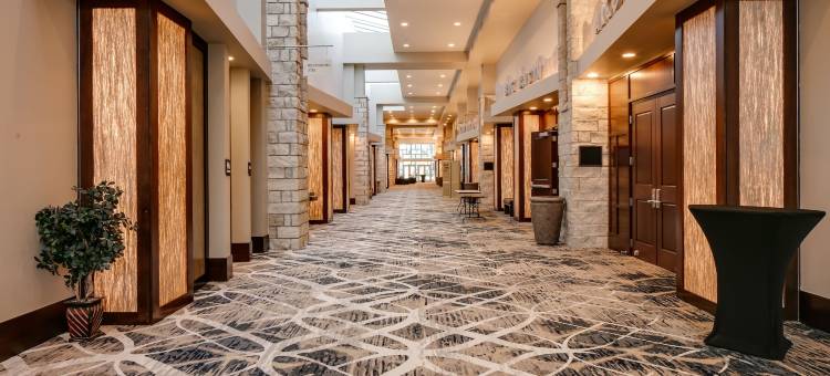 曼哈顿希尔顿花园酒店(Hilton Garden Inn Manhattan)图片