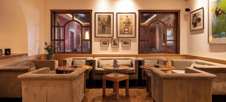 多洛米蒂阿纳图尔酒店(Artnatur Dolomites Hotel & Spa)图片