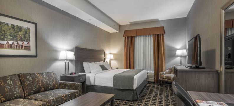 廷柏山套房酒店(Timber Ridge Inn and Suites)图片