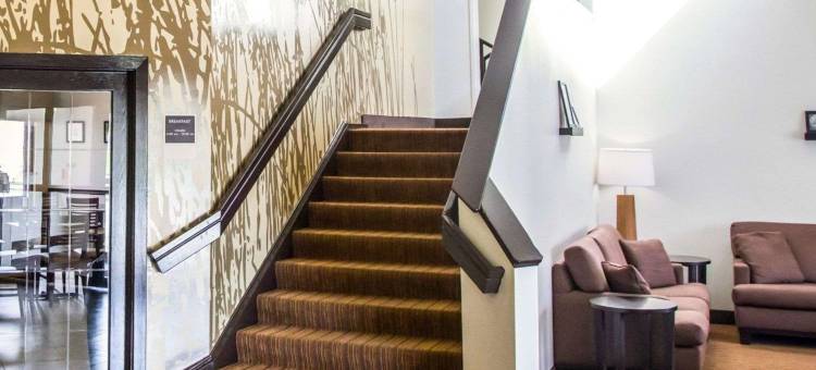 廷利帕尔克I80-近露天剧场-会议中心舒眠酒店(Sleep Inn Tinley Park I-80 Near Amphitheatre-Convention Center)图片