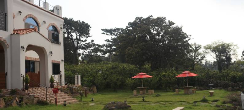济州岛诺曼旅馆(Nomad Pension in Jeju)图片