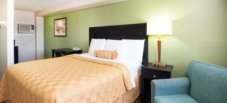 行政套房-带小厨房(Executive Inn & Kitchenette Suites-Eagle Pass)图片