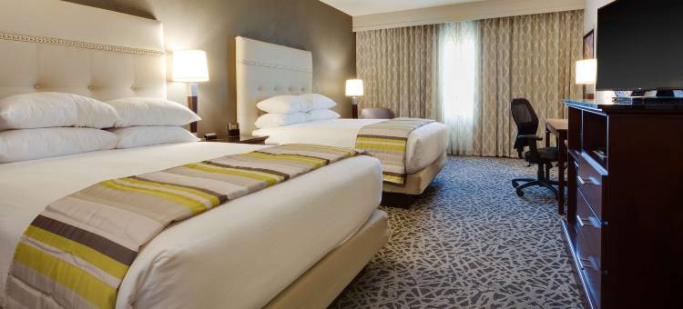 德鲁里广场酒店-开普吉拉多会议中心(Drury Plaza Hotel Cape Girardeau Conference Center)图片