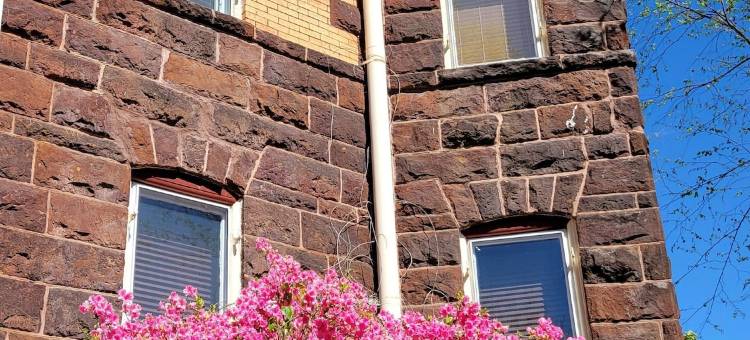 1890 号威廉之家酒店(1890 Williams House Inn)图片