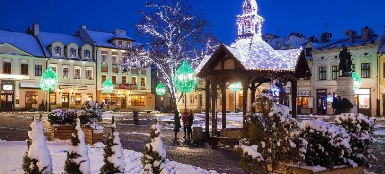 阿蒙吧萨多斯基热舒夫酒店(Hotel Ambasadorski Rzeszów)图片