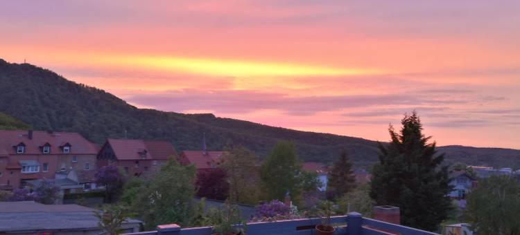 爱丽丝别墅酒店(Hotel Villa Alice)图片