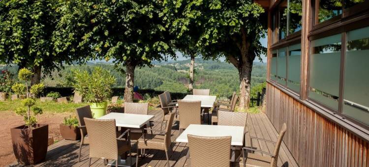 国际之家圣榭尔酒店(Logis le Saint Cyr)图片