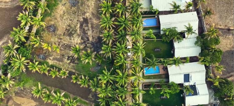 Mauli Stays 可可幸福(Coco Bliss by Mauli Stays)图片