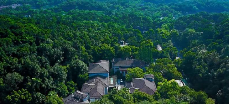 杭州六通宾馆图片