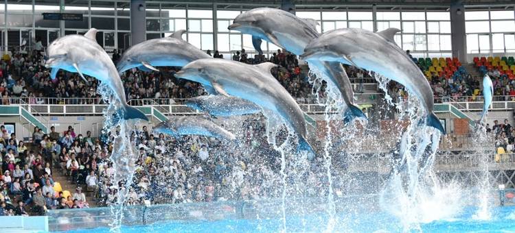 格兰度假村优雅白滨酒店(The Gran Resort Elegante Shirahama)图片