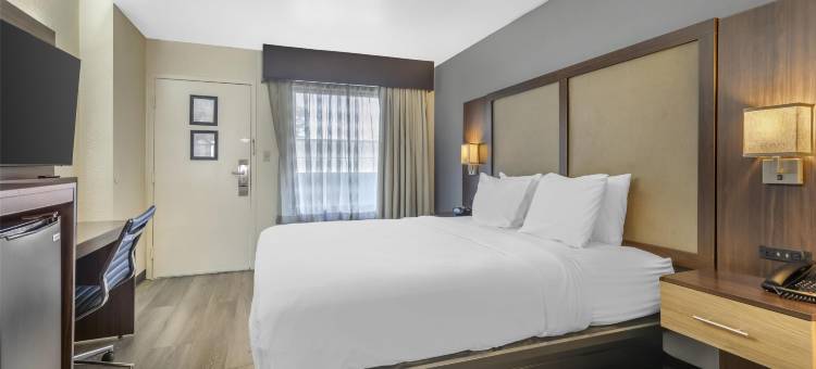 特索尔兹伯里广场贝斯特韦斯特酒店(Best Western Salisbury Plaza)图片