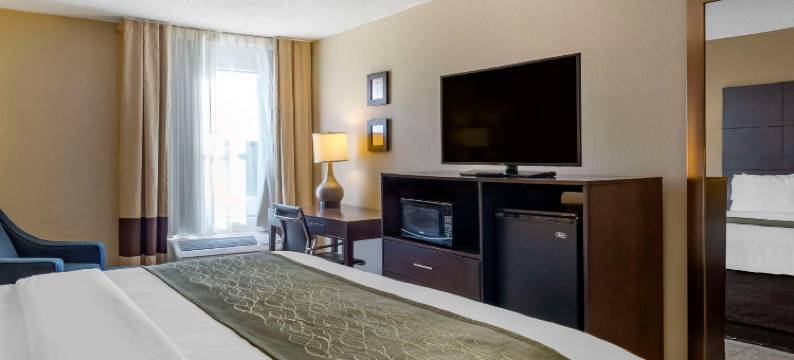 舒适酒店(Comfort Inn)图片