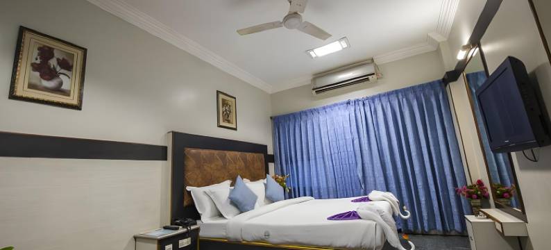 阿雅斯酒店(Hotel Aryaas)图片