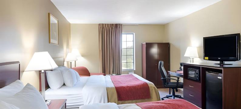 新河舒适酒店(Comfort Inn New River)图片