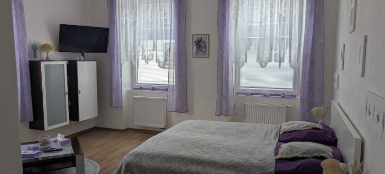 早餐膳宿公寓老学校(Frühstückspension Alte Volksschule Heinrichs bei Weitra)图片