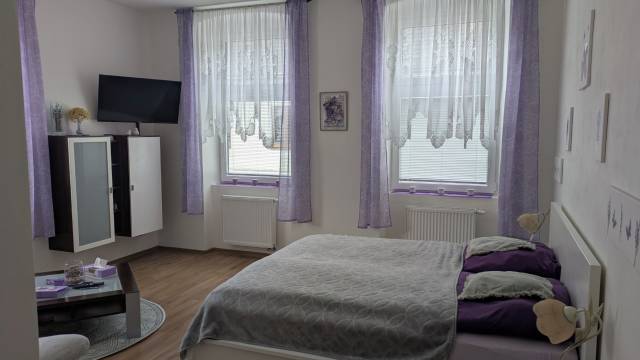 早餐膳宿公寓老学校(Frühstückspension Alte Volksschule Heinrichs bei Weitra)