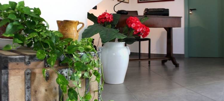 布干维尔住宿加早餐酒店(Bouganville B&B)图片