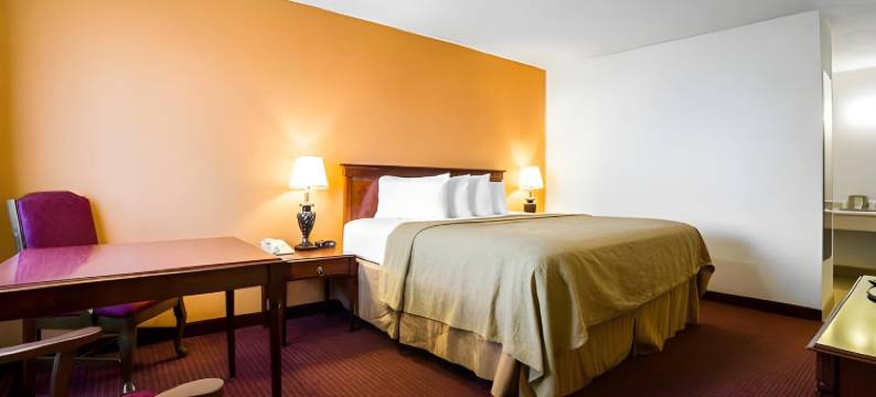 金曼66号公路罗德威酒店(Rodeway Inn Kingman Route 66)图片