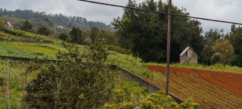 GuestReady – Charming Getaway by Madeira's Nature图片