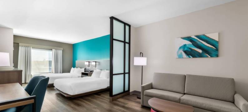 诺克斯维尔西 - 法拉格特舒适套房酒店(Comfort Suites Knoxville West - Farragut)图片