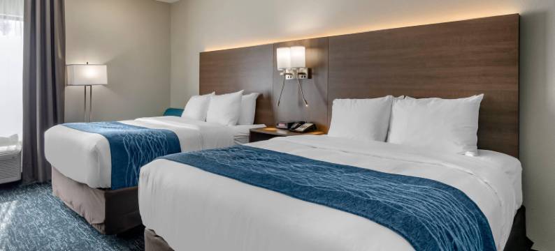 舒适套房酒店(Comfort Inn & Suites Troutville - Roanoke North - Daleville)图片