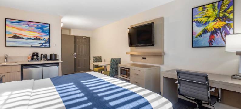 圣迭戈米拉玛舒适酒店(Comfort Inn San Diego Miramar)图片