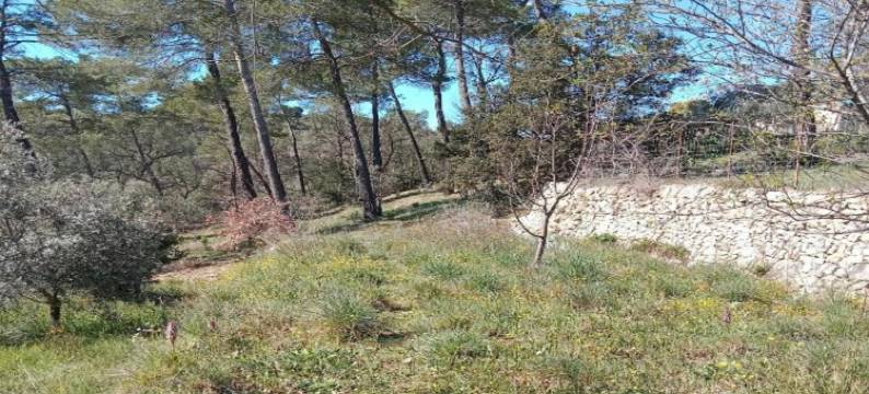 Holiday Home in Le Luc with Pool & Vineyards图片