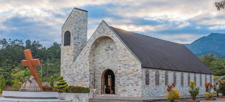 安提瓜科马亚瓜酒店(Hotel Antigua Comayagua)图片