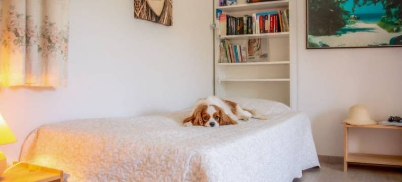 in southern France La Bastide图片