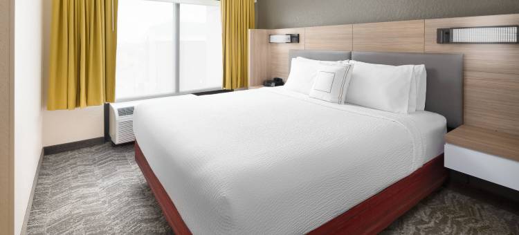 休斯敦霍比机场SpringHill Suites酒店(SpringHill Suites Houston Hobby Airport)图片