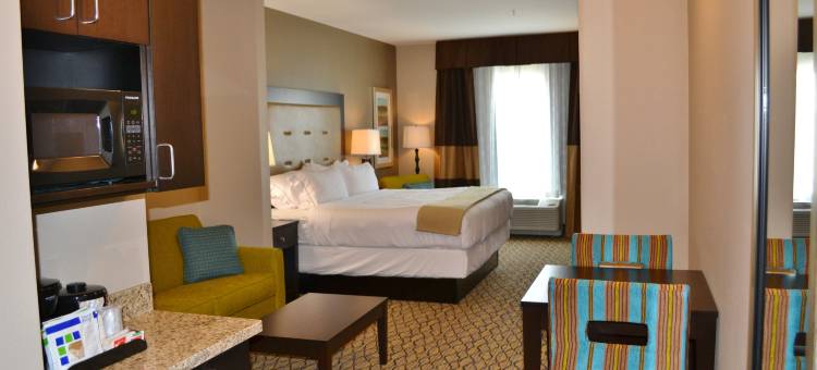 洲际智选假日酒店及套房圣约瑟夫(Holiday Inn Express & Suites ST. Joseph)图片