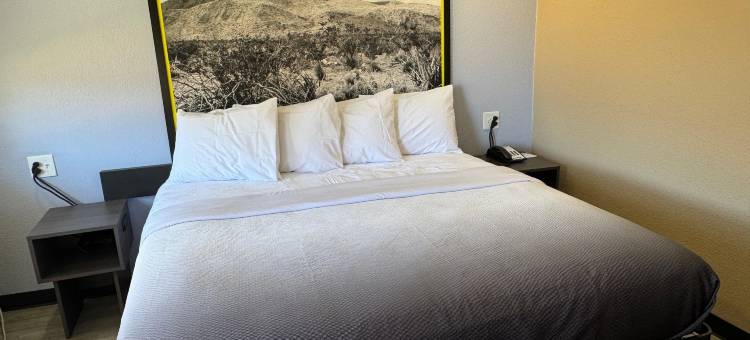 Super 8 by Wyndham Big Spring图片