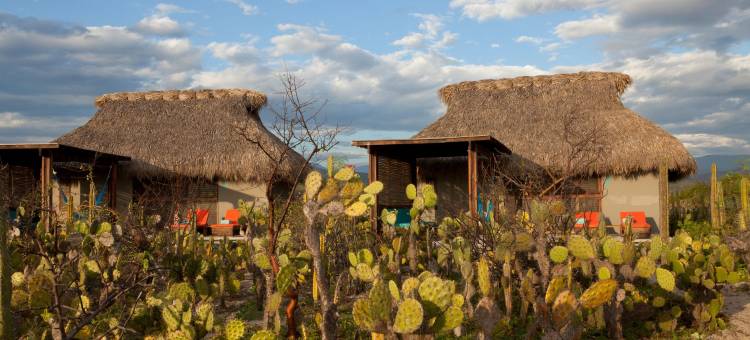 埃斯康迪酒店-限成人，Design Hotels™设计酒店成员(Hotel Escondido, Puerto Escondido - Adults Only)图片