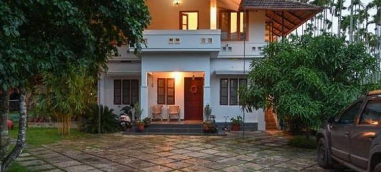 交谈树(Talking Trees)图片