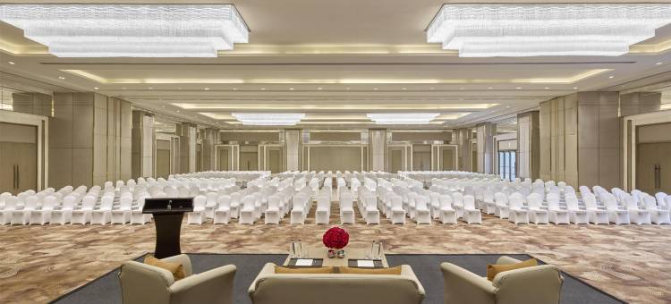 阿格拉希尔顿逸林酒店(DoubleTree by Hilton Agra)图片