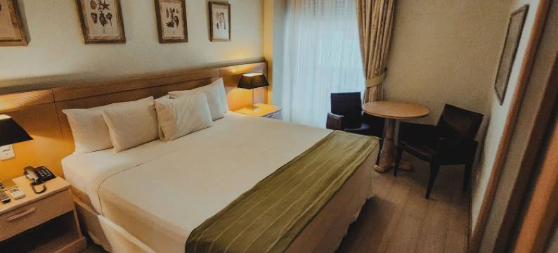 瓜鲁雅费拉雷托 SPA 酒店(Ferraretto Guarujá Hotel & Spa)图片