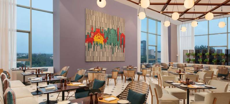 新德里市中心诺富特酒店(Novotel New Delhi City Centre)图片