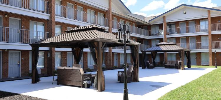 温德姆伯锡尔城戴斯酒店及套房(Days Inn & Suites by Wyndham Bossier City)图片