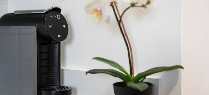 GuestReady - Old City Design - Bridges图片