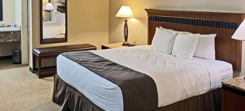 罗德威圣安吉洛假日酒店(Rodeway Inn)图片