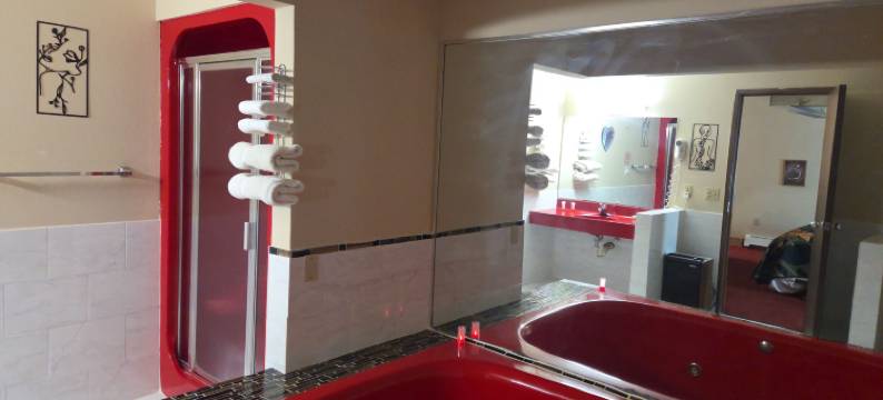 切萨宁套房酒店(Chesaning INN & Suites)图片