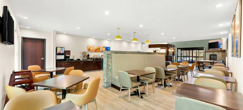 舒适套房酒店(Comfort Inn & Suites)图片