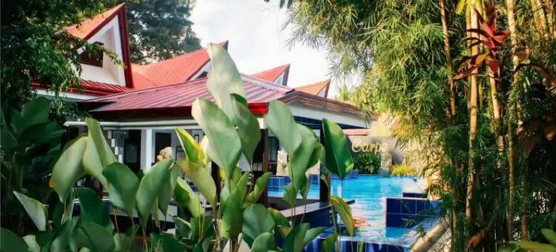 Carpe Diem Villas & Resort 潜水及住宿度假村(Carpe Diem Villas & Resort)图片