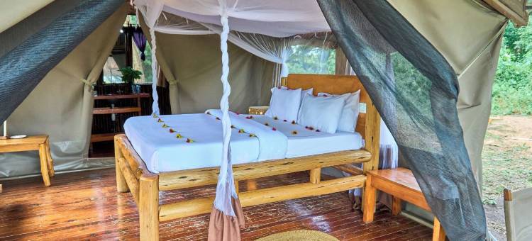米古恩贾帐篷营地(Migunga Tented Camp)图片
