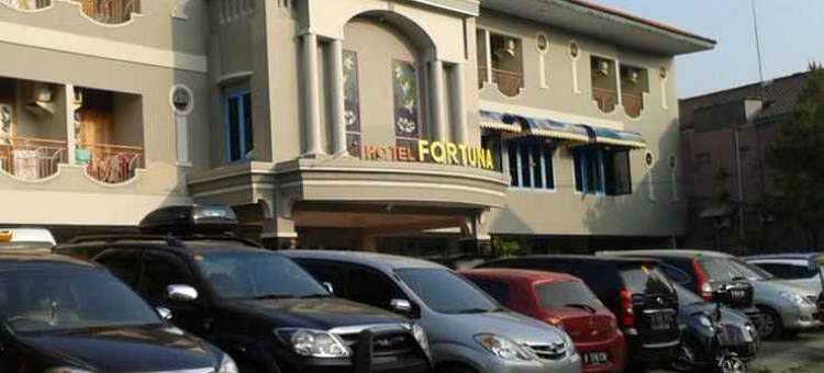 Fortuna Hotel图片