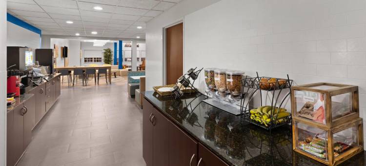 巴吞鲁日机场麦客达温德姆酒店及套房(Microtel Inn & Suites by Wyndham Baton Rouge Airport)图片
