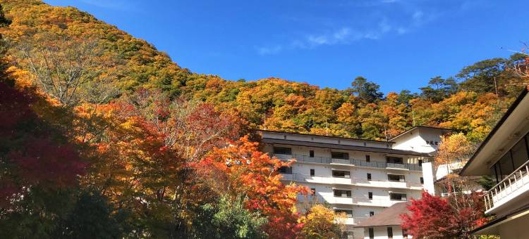 汤西川日式旅馆(Hotel Yunishigawa)图片