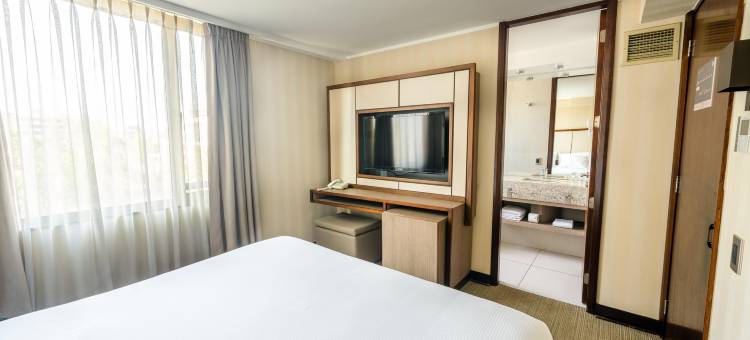 圣地亚哥阿巴总统套房酒店(Abba Presidente Suites Santiago)图片